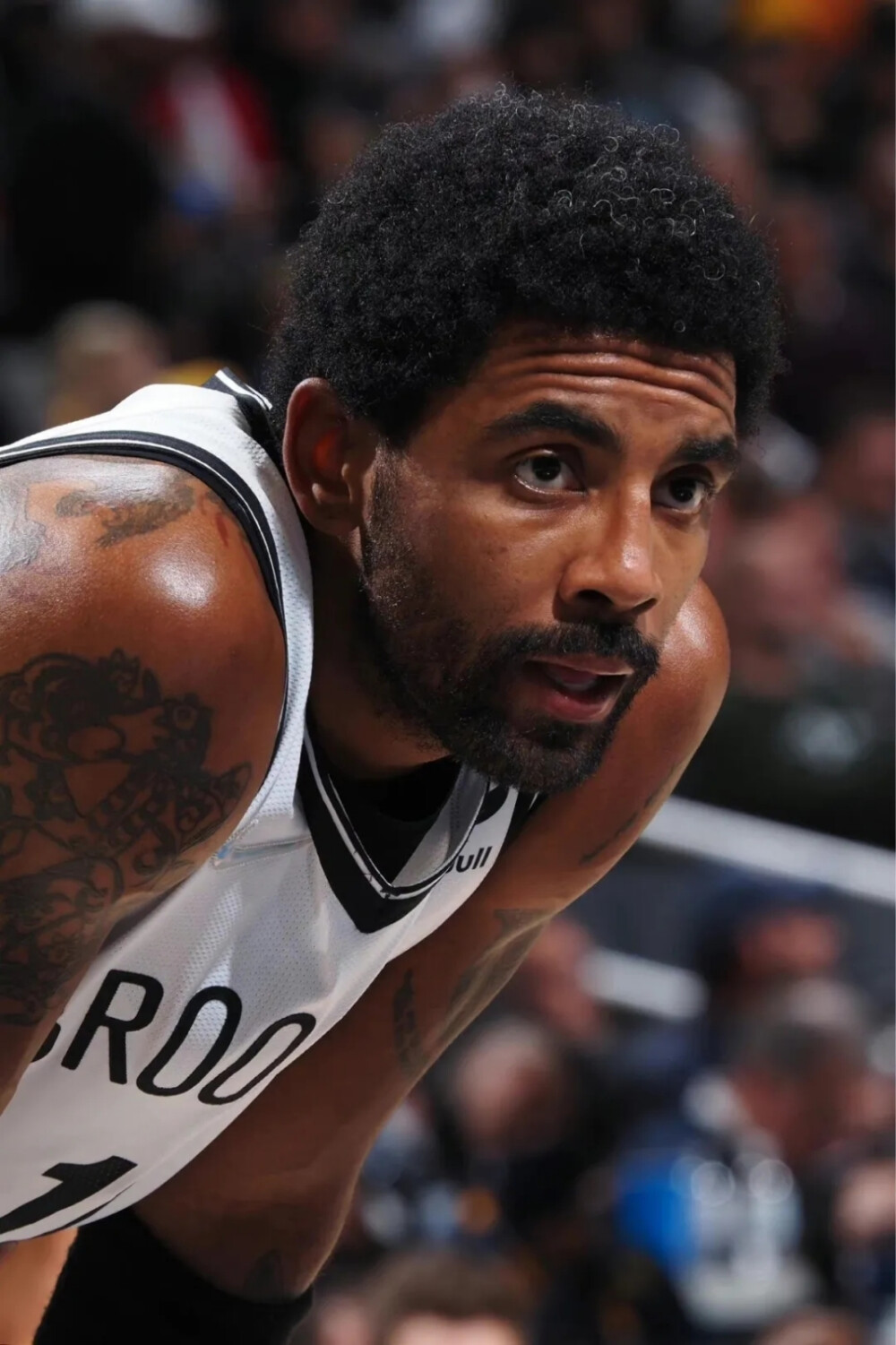 就必须依赖 就必须依赖