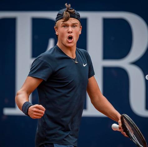 上展现了极 上展现了极