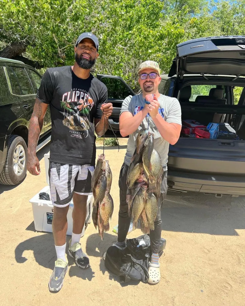 这样的案例 这样的案例